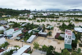 Khu vực Phong Châu phường Nam Nha Trang (Khánh Hòa) ngập sâu trong nước lũ. (Ảnh: Nguyễn Thành/TTXVN)