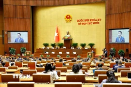 Quốc hội làm việc tại hội trường. (Ảnh: Doãn Tấn/TTXVN)