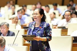 Đại biểu Quốc hội thành phố Hồ Chí Minh Nguyễn Thị Lệ phát biểu. (Ảnh: Minh Đức/TTXVN)