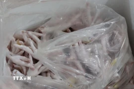 Ảnh minh họa, (Nguồn: Quang Duy/TTXVN)