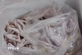 Chân gà đông lạnh không rõ nguồn gốc. (Ảnh: Quang Duy/TTXVN)