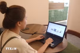 Khách hàng chọn mua sản phẩm trên các trang bán hàng điện tử. (Ảnh: Bích Huệ/TTXVN)