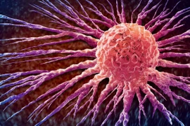 Ảnh minh họa. (Nguồn Shutterstock)