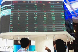 Ảnh minh họa. (Nguồn: TTXVN)