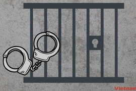 Ảnh minh họa. (Nguồn: Vietnam+)