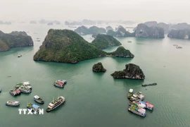 Cảnh quan thiên nhiên tuyệt đẹp của Vịnh Hạ Long thu hút nhiều du khách tới tham quan, khám phá. (Ảnh: Hoàng Hiếu/TTXVN)