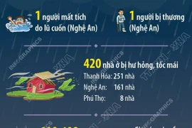 Thiệt hại do ảnh hưởng của bão số 3
