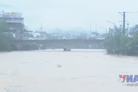 Lũ trên sông Cầu, sông Thương có khả năng đạt đỉnh