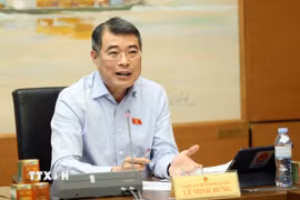 Thủ tướng Lê Minh Hưng, Đại biểu Quốc hội thành phố Hải Phòng phát biểu tại tổ. (Ảnh: An Đăng/TTXVN)