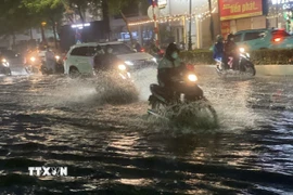 Hầu khắp các khu vực đều có mưa. (Ảnh: An Đăng/TTXVN)