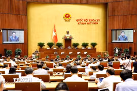 Quốc hội họp phiên toàn thể tại hội trường cho ý kiến một số dự án luật quan trọng tại Kỳ họp thứ 9. (Ảnh: TTXVN)