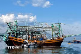 Bộ đội Biên phòng thành phố Đà Nẵng kiểm tra giấy tờ xuất bến của tàu cá. (Ảnh Trần Tĩnh/TTXVN)