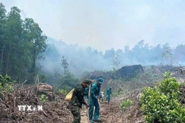 Lực lượng chức năng triển khai phát quang, chống cháy lan. (Ảnh: TTXVN phát)