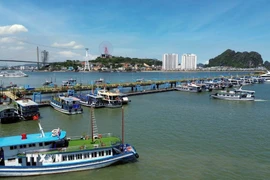 Các tàu du lịch neo đậu tại Cảng tàu khách quốc tế Hạ Long (Quảng Ninh). (Ảnh: Đức Hiếu/TTXVN)