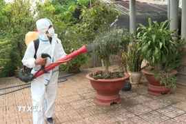 Lực lượng y tế phun độc, khử trùng, dọn dẹp loăng quăng. (Ảnh: TTXVN phát)
