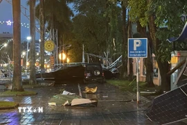 Biển bảng quảng cáo đổ sập lên xe ôtô đang đậu trên vỉa hè. (Ảnh: TTXVN phát)