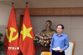 Phó Thủ tướng Chính phủ Hồ Quốc Dũng phát biểu. (Ảnh: Đỗ Bình/TTXVN)