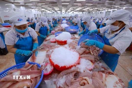 Chế biến thủy sản xuất khẩu. (Ảnh: Vũ Sinh/TTXVN)