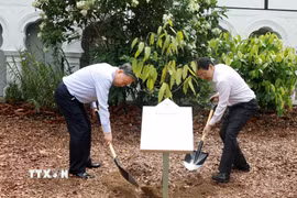 Tổng Bí thư, Chủ tịch nước Tô Lâm và Thủ tướng Singapore Lawrence Wong trồng cây lưu niệm. (Ảnh: Thống Nhất/TTXVN)