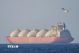 Tàu di chuyển qua eo biển Hormuz. (Ảnh: AA/TTXVN)
