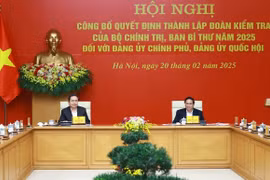 Thành lập Đoàn kiểm tra đối với Đảng ủy Chính phủ, Đảng ủy Quốc hội