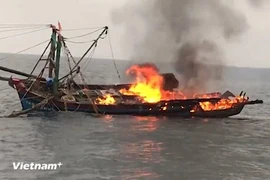 Ảnh minh họa. (Nguồn: PV/Vietnam+)