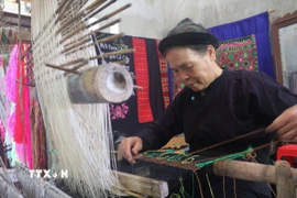 Nghệ nhân Nông Thị Thược luôn đau đáu nỗi niềm gìn giữ và phát huy nghề dệt thổ cẩm truyền thống ở Luống Nọi. (Ảnh: Chu Hiệu/TTXVN)