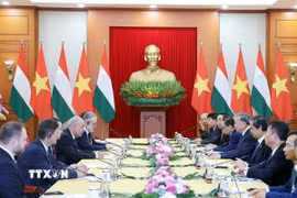 Tổng Bí thư Tô Lâm hội kiến Tổng thống Hungary Sulyok Tamas thăm chính thức Việt Nam. (Ảnh: Thống Nhất/TTXVN)