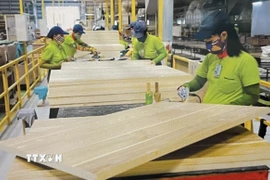 Công nhân nhà máy gỗ chuẩn bị nguồn hàng xuất khẩu. (Ảnh: Hồng Nhung/TTXVN)