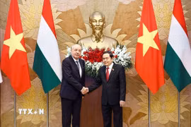 Chủ tịch Quốc hội Trần Thanh Mẫn hội kiến Tổng thống Hungary Sulyok Tamas. (Ảnh: Doãn Tấn/TTXVN)