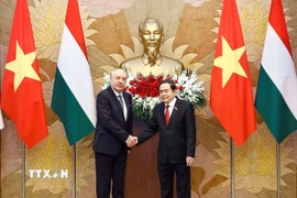 Chủ tịch Quốc hội Trần Thanh Mẫn hội kiến Tổng thống Hungary Sulyok Tamas. (Ảnh: Doãn Tấn/TTXVN)