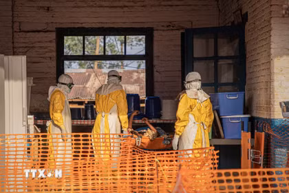 Nhân viên y tế chuyển bệnh nhân Ebola tại trung tâm điều trị ở Ituri, Cộng hòa Dân chủ Congo. (Ảnh: THX/TTXVN phát)
