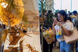 Người dân thích thú với những món quà lưu niệm độc đáo làm từ tre mây tại các gian hàng. (Ảnh: Thanh Phong/Vietnam+)