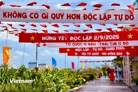 Thành phố Đà Nẵng rực rỡ sắc màu Tết Độc lập