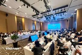 Quan cảnh hội nghị "Gặp gỡ Hàn Quốc tại Đà Nẵng: Cơ hội tăng cường hợp tác giữa Đà Nẵng và các đối tác Hàn Quốc". (Ảnh: Thanh Phong/Vietnam+)