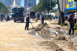 Cận cảnh gần 1.000 người “giải cứu” tuyến đường biển du lịch nổi tiếng của Đà Nẵng
