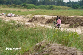 Khu vực canh tác hoa màu của người dân Gò Nổi dù đã hơn 1 tháng qua nhưng rác do lũ để lại vẫn chưa được dọn dẹp. (Ảnh: Thanh Phong/Vietnam+)