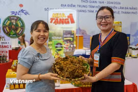 Hình minh hoạ triển lãm sản phẩm đặc trưng, tiêu biểu định hướng xuất khẩu thành phố Đà Nẵng được tổ chức tháng 4/2026. (Ảnh: Thanh Phong/Vietnam+)