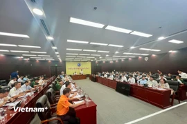 Họp trực tuyến công tác phòng, chống bão số 5 tại Đà Nẵng. (Ảnh: Thanh Phong/Vietnam+)
