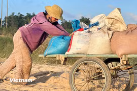 Đà Nẵng: Nông dân thẫn thờ nhìn cát phủ kín vụ mùa ở Gò Nổi 