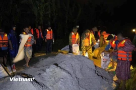 Lữ đoàn Tăng Thiết giáp 574 khắc phục kịp thời sự cố vỡ đê tại thôn Đồng Tràm Tây, xã Xuân Phú, Đà Nẵng. (Ảnh: PV/Vietnam+)