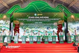 Khởi động dự án đầu tiên thuộc Khu Thương mại Tự do Đà Nẵng. (Ảnh: PV/Vietnam+)