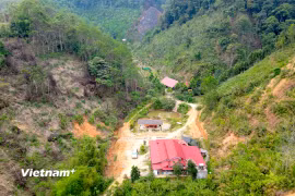 Lọt thỏm giữa những quả đồi, gia đình ông Riáh Ka, đồng bào Cơ Tu là một trong những hộ dân tận dụng nguồn vốn chính sách hiệu quả để phát triển kinh tế. (Ảnh: Thanh Phong/Vietnam+)