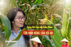 Bắp nếp Cẩm Nam, một trong những đặc sản có hương vị độc đáo của vùng Di sản Văn hóa Thế giới phố cổ Hội An. (Ảnh: Thanh Phong/Vietnam+)