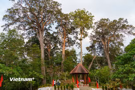 Khu vực lập bia di sản rừng Pơ Mu, nét đặc trưng thể hiện sự tôn trọng thiên nhiên của đồng bào Cơ Tu. (Ảnh: Thanh Phong/Vietnam+)
