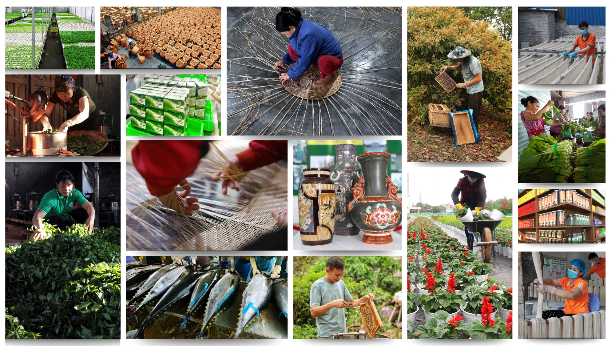 Trụ cột, động lực kinh tế tư nhân