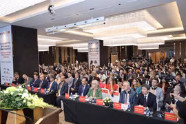 Hội nghị có sự tham gia của khoảng 800 đại biểu đến từ 40 quốc gia và vùng lãnh thổ. (Ảnh: Vietnam+)