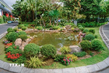 Hồ cá sinh thái tuần hoàn từ nước thải tái chế tại Nhà ga quốc tế Đà Nẵng vừa ra mắt. (Ảnh: TTXVN phát)