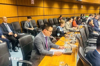 Đại sứ Vũ Lê Thái Hoàng phát biểu tại Phiên họp. (Ảnh TTXVN phát)