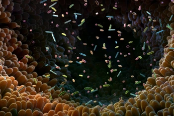 Ảnh minh hoạ. (Nguồn: ScienceDaily)